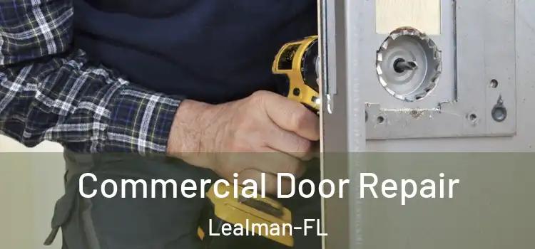 Commercial Door Repair Lealman-FL