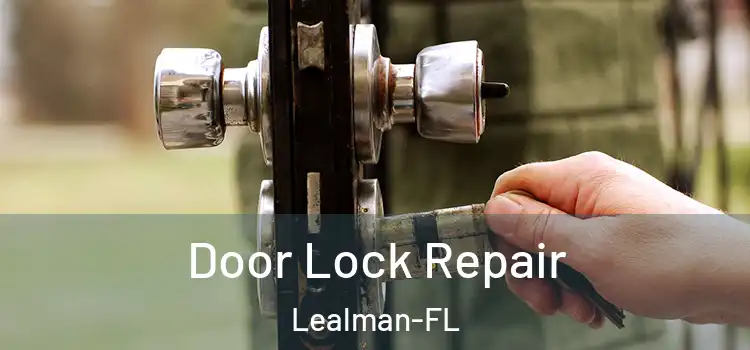 Door Lock Repair Lealman-FL