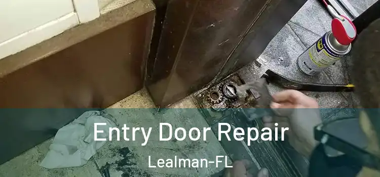 Entry Door Repair Lealman-FL