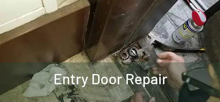 Entry Door Repair