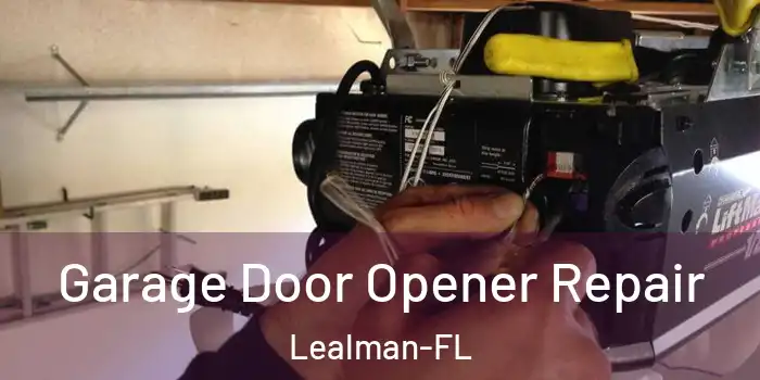  Garage Door Opener Repair Lealman-FL