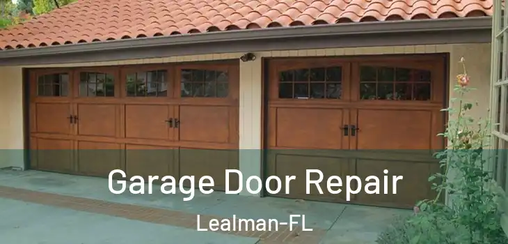 Garage Door Repair Lealman-FL