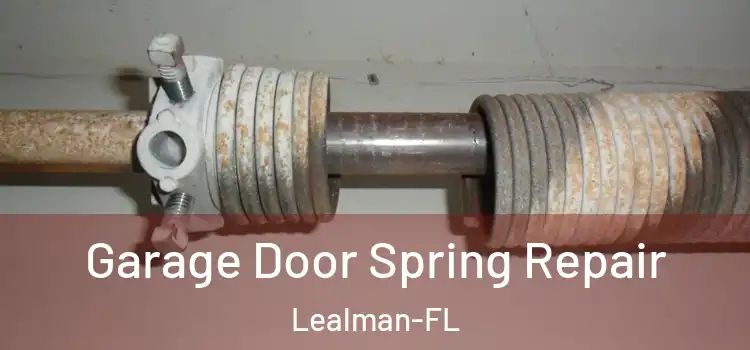 Garage Door Spring Repair Lealman-FL