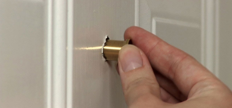 peephole door repair in Lealman