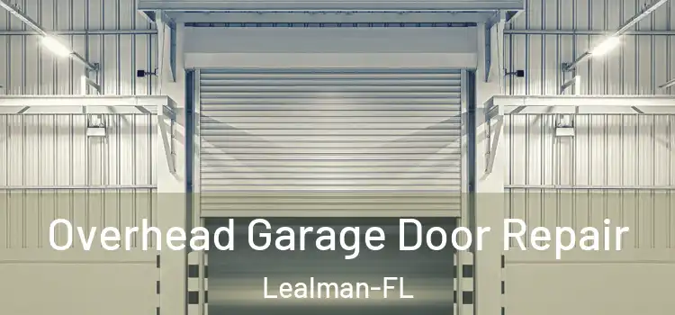  Overhead Garage Door Repair Lealman-FL