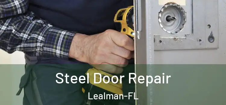 Steel Door Repair Lealman-FL
